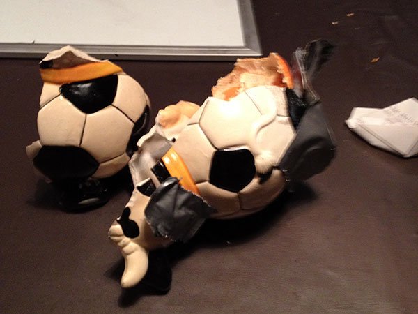 Onze koe is gesneuveld