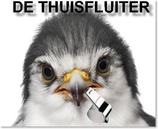 Over shirts zoeken, thuisfluiters en groep zes