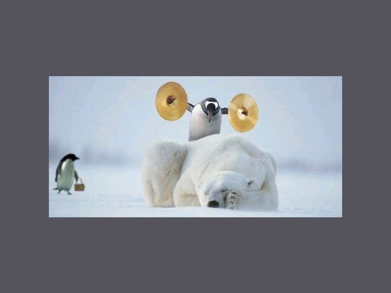 Daddy Cool als beste uit de winterslaap